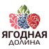 Подмосковная экосистема "Ягодная долина" включает в себя несколько сельскохозяйственных компаний по производству ягод клубники и малины в защищённом грунте, а также голубики в закрытом грунте, сельскохозяйственный потребительский снабженческо-сбытовой кооператив, автономную некоммерческую организацию "Центр Ягодных Компетенций", поставщика посадочного материала "Platinum Berry Group". 
Мы производим ягоды высокого качества и поставляем их в основные торговые сети Москвы и Подмосковья: Азбука Вкуса, ВкусВилл, Перекрёсток, Пятёрочка, Лента, Магнит, Eurospar.
Наши торговые марки: Моя Усадьба, Подмосковная, Ягодная Долина.
В наших компаниях выращивание и производство ягод  мы основали на современных европейских достижениях и строго соблюдаем все технологические процессы.
Доставка ягод в торговые сети Москвы занимает 2-3 часа, что позволяет нам поставлять ультра свежую продукцию, по принципу: утром собрали - вечером поставили в торговую сеть.
Наши сотрудники постоянно совершенствуют свои знания как в Росси, так и в передовых европейских компаниях, на международных симпозиумах, выставках, конференциях, семинарах.
Мы постоянно совершенствуемся, развиваемся, укрупняемся.
Нами разработан и внедрён инновационный проект "Ягодный Подмосковный Гектар", в рамках которого любой заинтересованный инвестор может стать нашим партнёром и создать совместно с нами свой собственный бизнес, с высокой доходностью, по производству ягод в Московской области. Подробнее об этом проекте можно посмотреть в разделе "Инвесторам".